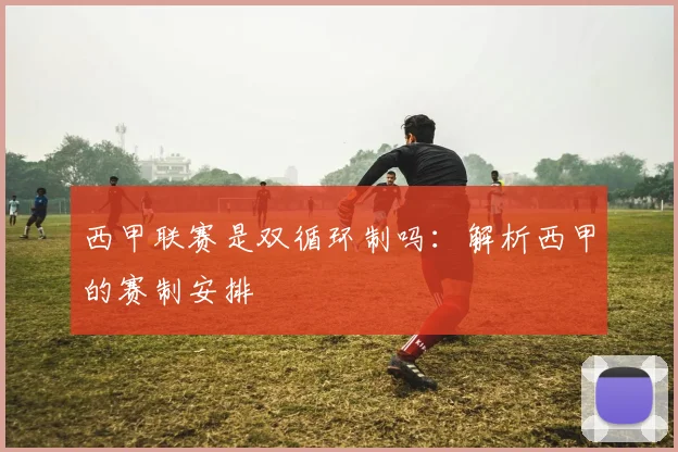 西甲联赛是双循环制吗：解析西甲的赛制安排