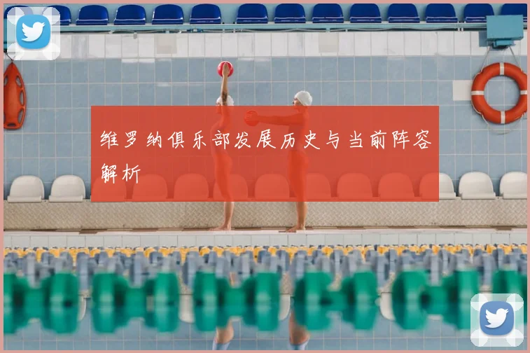 维罗纳俱乐部发展历史与当前阵容解析